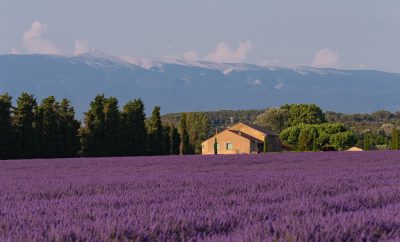 Découvrez la Provence au pied du Ventoux