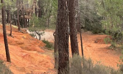 Quand partir et que faire en Provence en toutes saisons ?