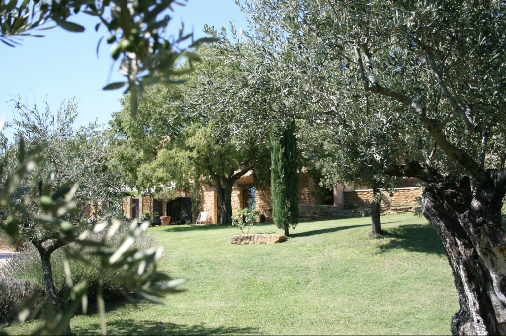 Notre mas en Provence, entre oliveraie et cyprès
